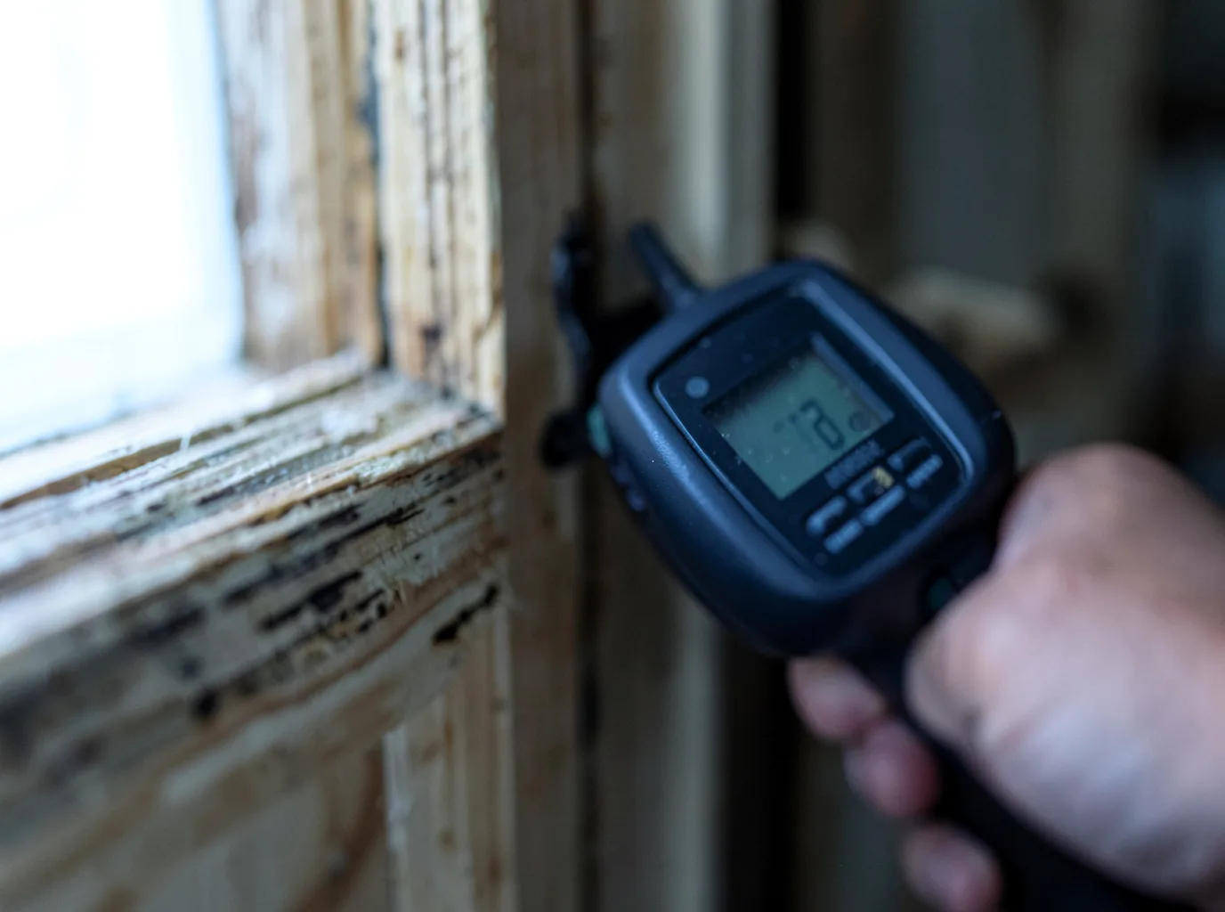 Moisture Inspection And Documentation in Maumee, OH